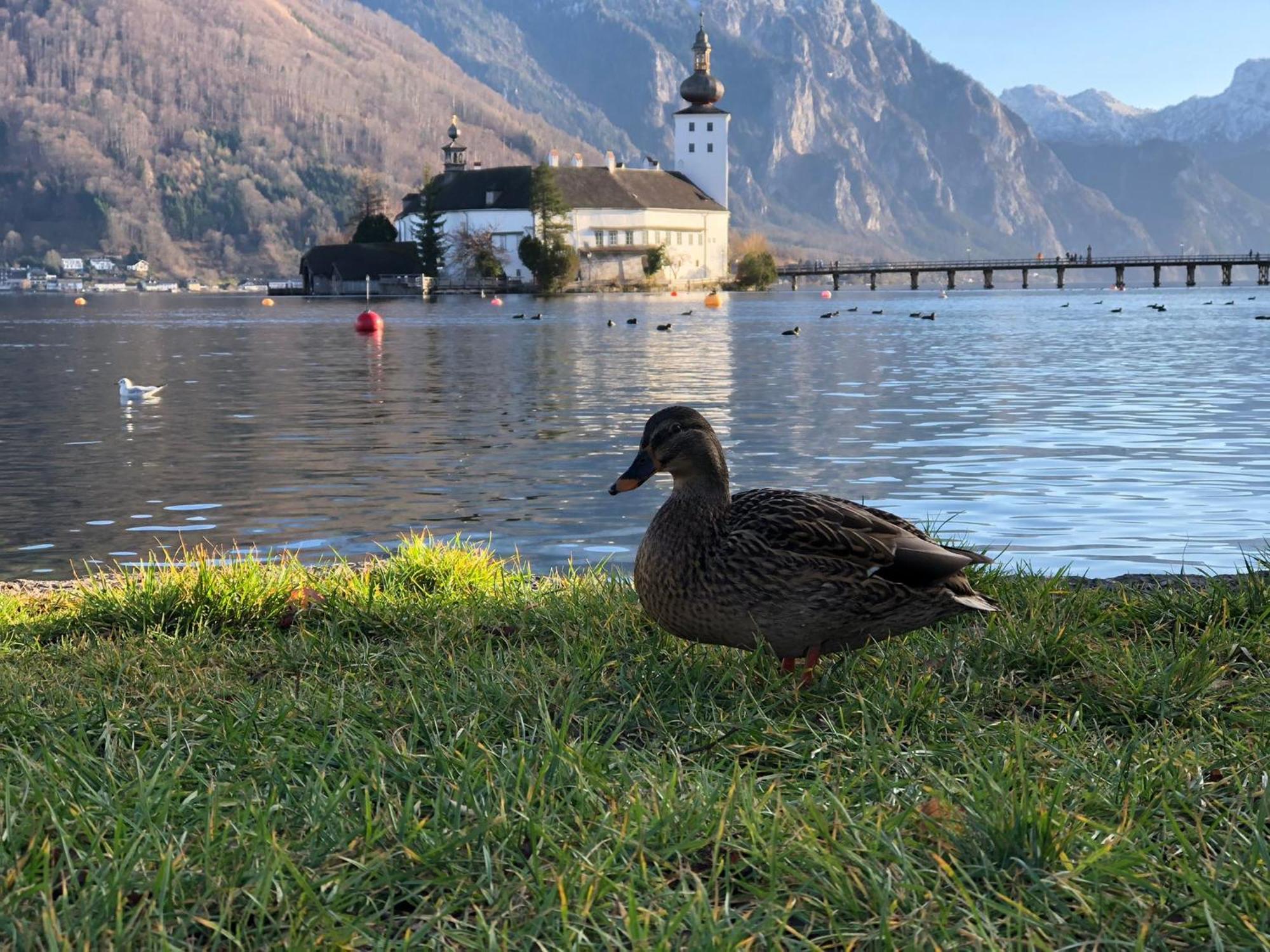 Seepanorama An Der Esplanade 1 Gmunden Exterior photo