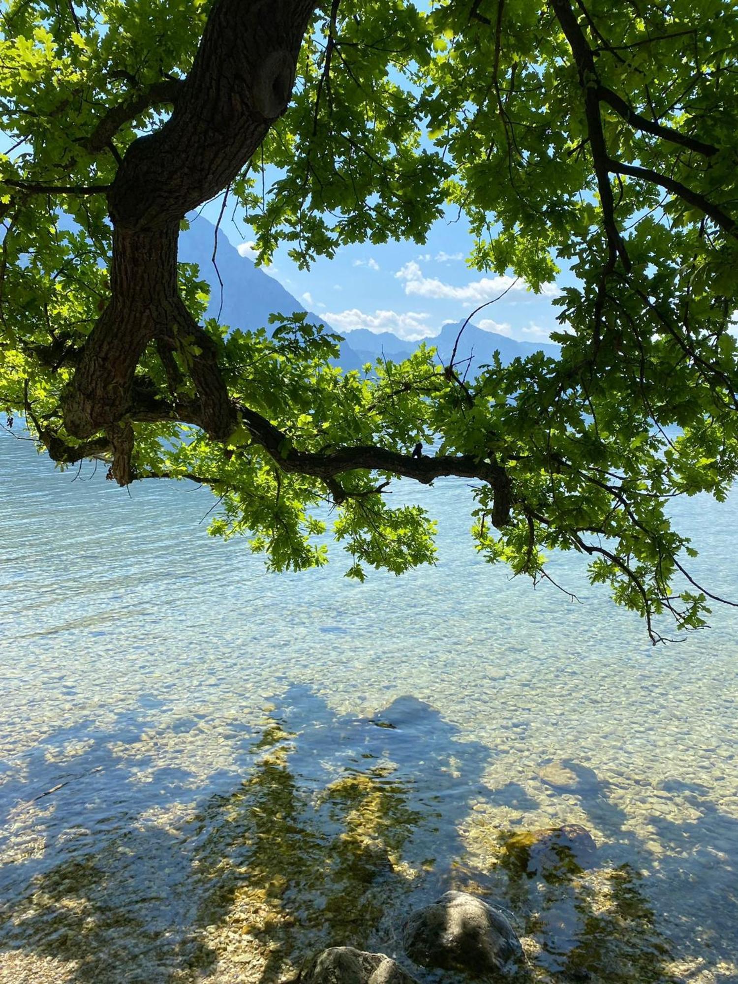 Seepanorama An Der Esplanade 1 Gmunden Exterior photo